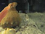 IMG 0499