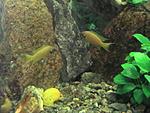 IMG 0473