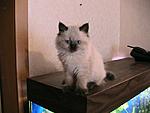 IMG 2592