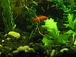IMG 5144 1