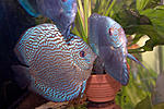 IMG 62301 
