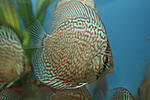 IMG 69571