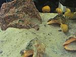 IMG 0591