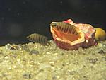 IMG 0491