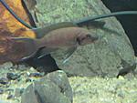 IMG 0527