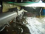 IMG 5199 1