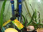 IMG 3231[1]