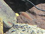 IMG 0550