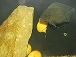 IMG 0625