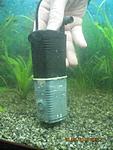 IMG 4179