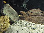IMG 0539