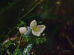 DSC04220