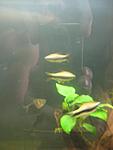 IMG 1575
