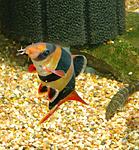 4348454936 7ca218dbc2 o