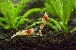 20100609 IMG 7792