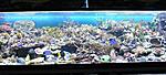 DSC 0089