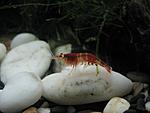 IMG 3417