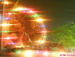 DSC00434