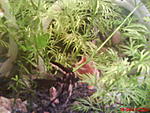 DSC00707