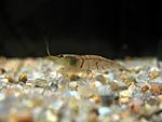 IMG 7847 1