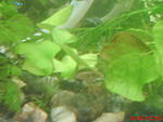 DSC00660