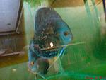 DSC00570