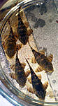 2010 07 16