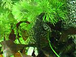 IMG 4688