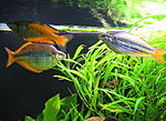 Resize of IMG 5152