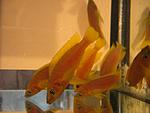 IMG 4022