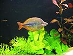 IMG 4872 L
