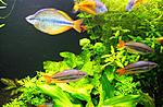 IMG 2786 L
