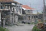 DSC09788