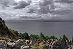 DSC09874