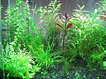 IMG 0355[1]