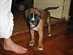 IMG 2827