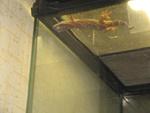 IMG 2402