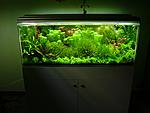 gallery 2083 516 1350647