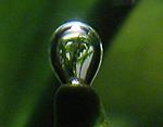 DSCN0687
