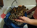 IMG 5846 
 