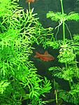 IMG 5079