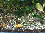 IMG 5844 
