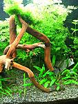 IMG 5084