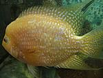 P9270388