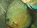 IMG 2438