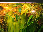 DSCF3718