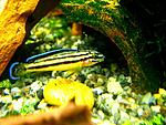 IMG 5893