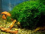 IMG 5888