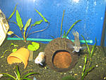 IMG 7557