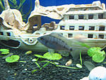 IMG 7555